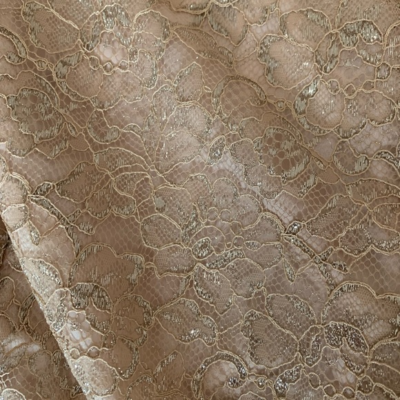 J. Crew Tie Neck Top in Metallic Lace | M | Nude - Picture 6 of 7